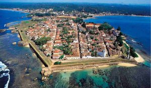 galle foet