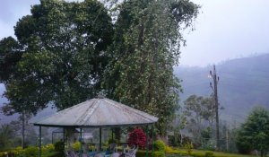 Sri lanka
