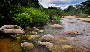 water falls in sri lanka
