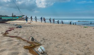 Negombo beach catching fish
