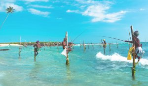 catching fish ahangama