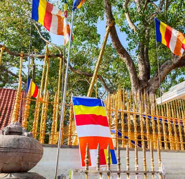 Anuradhapura Old City Cycling Tour